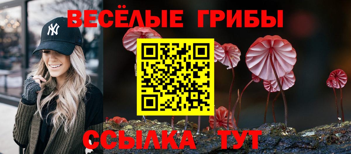 Галлюциногенные грибы мухоморы Куйбышев