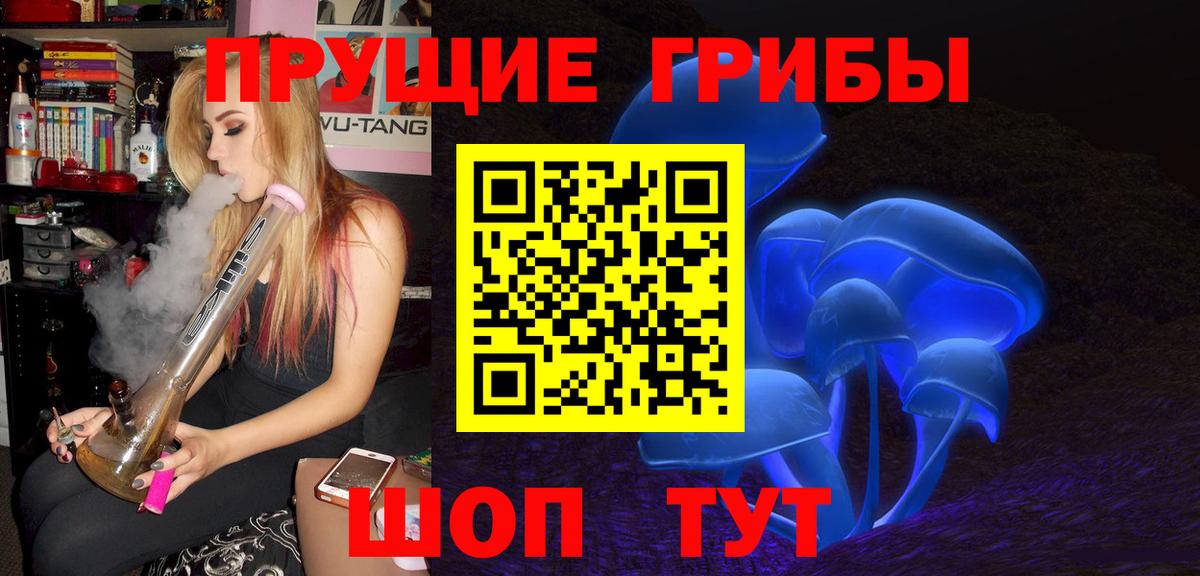 Куйбышев  Псилоцибиновые грибы Psilocybe  Псилоцибиновые грибы GOLDEN TEACHER  Вход с VPN 